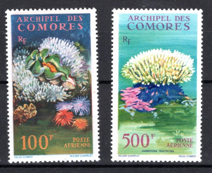 Archipal des Comores - Mi.548 + 50, mořská fauna
