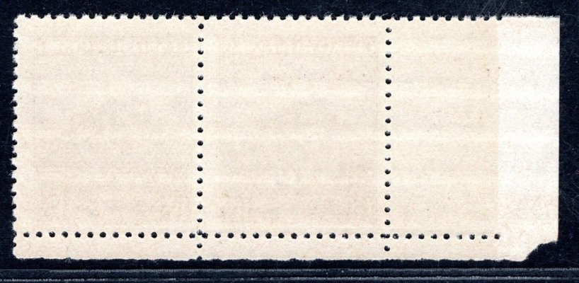 304 ; 1, 20 kč Mukačevo levá spodní dvoupáska s DZ 1 - úzký okraj  - druhý náklad s nápichovým bodem - dotisk pro protektorát 