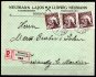 Doporučený firemní dopis frankovaný troj-násobou frankaturou hodnoty 25 h hnědá - celkově vyplaceno 75 h - přesně odpovídá II. Tarifnímu období, známky znehodnoceny otisky maďarských razítek November 1919 a na obálce je maďarská R nálepka s číslem 353, hezká kvalita, ojeďinělá násobná frankatura ()