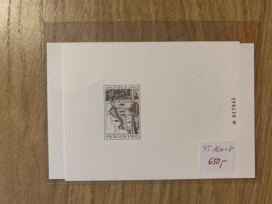 Sestava příležitostních tisků PT 5 a + b , PT 7, PT 11 a + b , PT 11 a , PT 13 a + b , PT 14 a + b, PT 15 , PT 16 a + b , PT 18 a + b , PT 19,  PT 20 a + b , PT 21 , PT 23, PT 25,  PT 26, PT 28 , PT 14, 15 , PT 32, PT 34  - vše nafoceno - vyšší katalog, každý tisk přesně popsán v ochranném obalu v původním kupovaném stavu od obchodníka 
