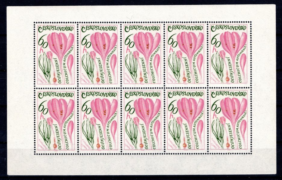 1490 ;  PL (10) 60 h Léčivé rostliny  ;  deska B