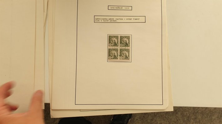 Legionářské 1919; studijní sbírka známek legionářské emise na několika albových listech, pečlivě rozpracováno, obsahuje mj. zkusmý přítisk velkého formátu - tzv. mudruňka, hezký los