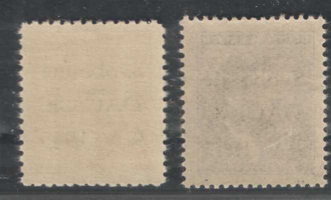Dačice - dvojice známek malého formátu s motivem Adolfa Hitlera, revoluční přetisk DAČICE