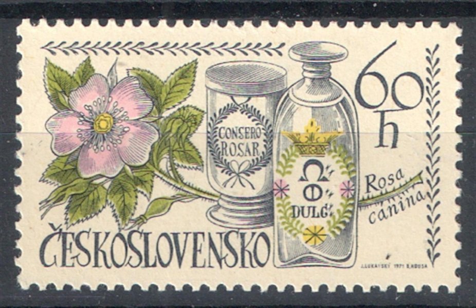 1915 DO 47/2 - kat. cena 70 Kč 