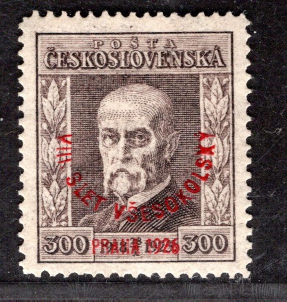 186, P 6, Všesokolský slet, hnědá 300 h