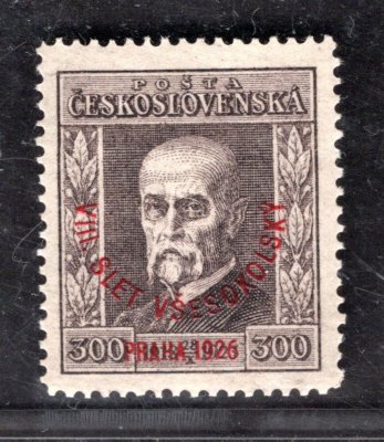 186, P 8, Všesokolský slet, hnědá 300 h