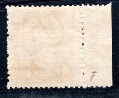 198, P 7, typ III; TGM, krajový kus s bordurou, hnědé 3 Kč