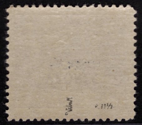  24 D VZ PP, 400 h modrofialová, přetisk VZOREC převrácený, ŘZ 11 ½, zk. Vrba, hledaná a vzácná známka