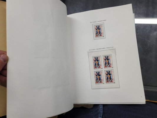 Slovensko, 1993 - 1999, nekompletní, ale velmi slušně zastoupená sbírka na zasklených listech v modrých pérových deskách, obsahuje i PL, aršíky, černotisky, desetibloky, nafoceno