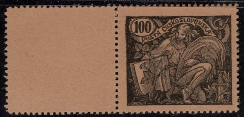 164 ZT HaV, černotisk, krajový kus s tzv. falešným kupónem, 100h