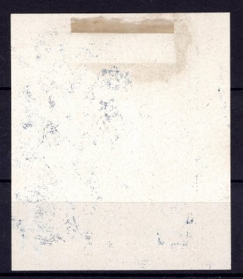 Návrh známky - zkusmý tisk velkého formátu, obraz známky 45,8 x 55,4 mm bez monogramu v modré barvě, krásný kus