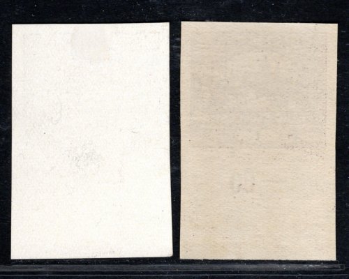 1 ; 1h střihaná + ZT černotisk bílý křídovém papíře ;  obě známky stejné  ZP 96/II  s DV vlajka na věži (x) /XX