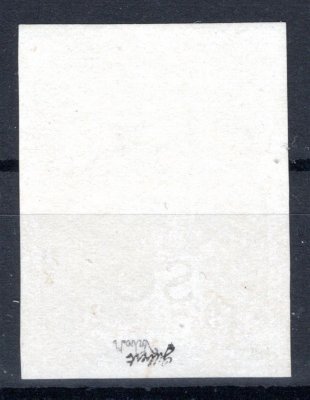 SO 25 ZT, přetisk černý na TGM 1000 h, černotisk, papír křídový, zkoušeno Gilbert, Vrba, katalog tuto variantu neuvádí