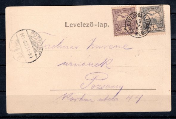 Hezká pohlednice Čáčova (Senica) vypl. 1 + 4 f Turul, odeslaná z císařských manévrů (v r. 1902 v okolí slovenského Šaštína), vzácné raz. K. u. K. FELDPOSTLEITUNG No. 5, 13. 9. 02, malý výskyt